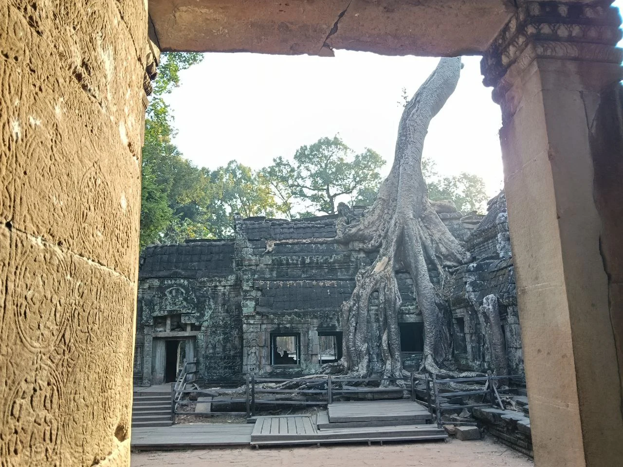 Lalbero grande di Ta Prohm